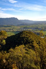landscape with trees