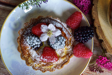 Tarts topped with fresh berries and dusted with powdered sugar. 