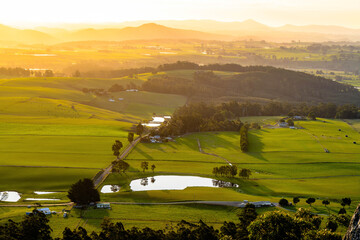 landscape with green fields
