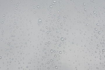 The image is of a wet surface with many small droplets of water