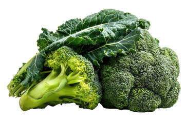 Fresh broccoli florets and kale