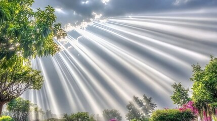 Dramatic Sunlight Beams Piercing Through Clouds Over Lush Green Trees