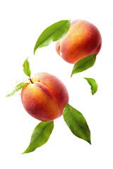Two ripe peaches with leaves, isolated against black