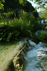 beautiful plivitce water landscapes in croatia