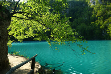 beautiful plivitce water landscapes in croatia