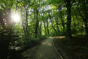 Obraz premium beautiful plivitce water landscapes in croatia