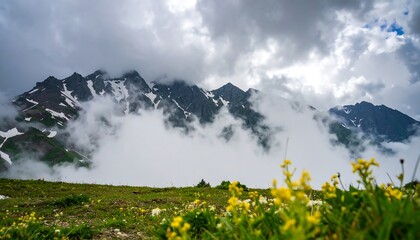 Misty mountain peaks, wildflowers in foreground