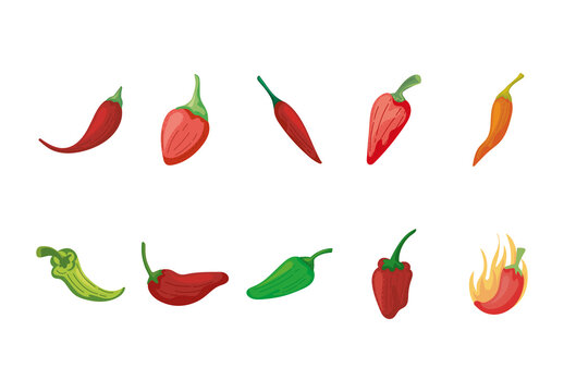 Red And Green Chili Pepper Spicy Vegetable Illustrations Set