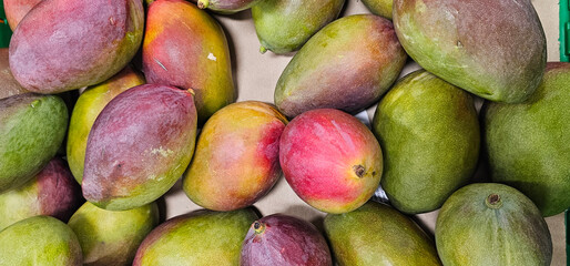A close-up of ripe mangoes with a blend of green and red skin. These fresh tropical fruits look vibrant and ready for consumption.