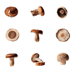 Close-up view of various mushroom caps and stems, arranged in a grid pattern.  Different angles and sections showcase the textures and shapes of the fungi