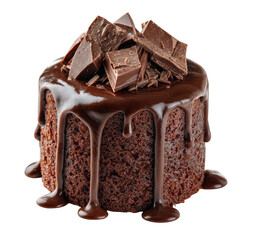 Rich chocolate cake, drizzled with dark chocolate, topped with shards