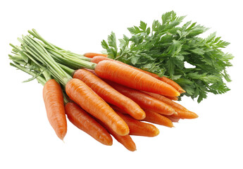 Fresh bunch of carrots with green leaves (2)