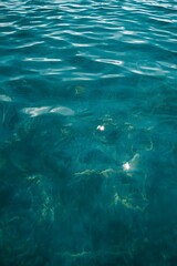 Fototapeta premium Clear turquoise sea water surface with sunlight reflections, symbolizing marine clarity, freshness, natural purity, ocean tranquility, tropical beauty, and aquatic background concept