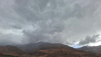 Nature and Companions: Cats, Blossoms, Sunsets, and Midnight Skies.