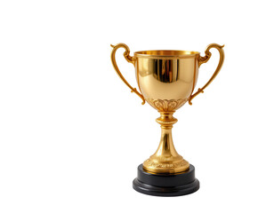 Golden Trophy Award on Black Base for Achievement Ceremony