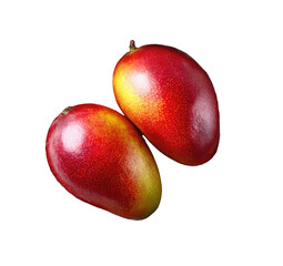 Fototapeta premium Two ripe mangoes, close-up, vibrant red-orange skin, slightly overlapping