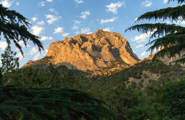 Sunlight and mountain scenery among evergreen forest