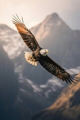 Obraz premium A bald eagle soaring gracefully above 