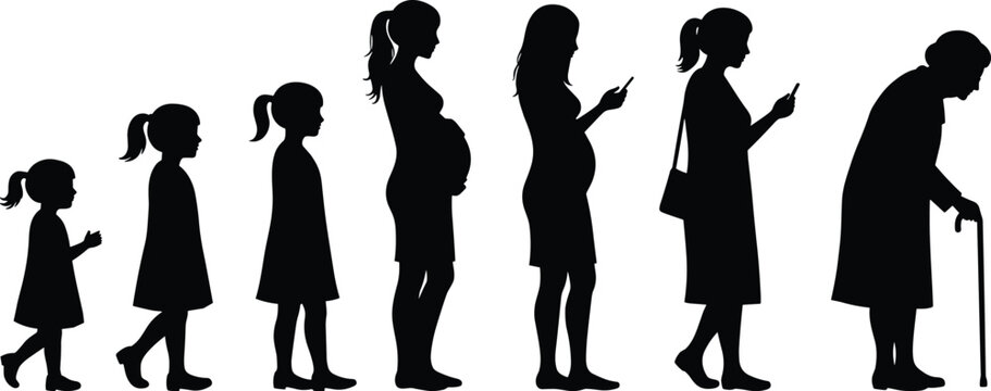 Stages of woman life cycle, silhouette progression, female growth phases, childhood to old age, pregnancy stages, aging process, woman development timeline, life evolution concept.