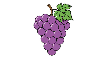 Vibrant Bunch of Purple Grapes with Leaf: A Fresh and Delightful Fruit Illustration perfect for nutrition and food related design project