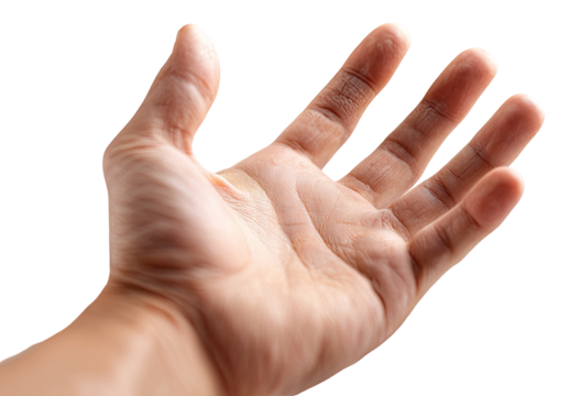 Open human hand, palm up, detail