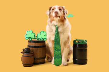 Cute Australian Shepherd dog with paper clover and barrels on yellow background. St. Patrick's Day...