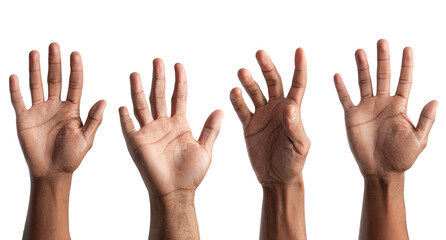 Obraz premium Four diverse hands raised, palms facing forward