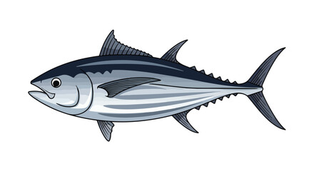 Fototapeta premium Detailed anatomical illustration showcasing a stylized tuna fish with streamlined body and distinctive fins isolated on white background