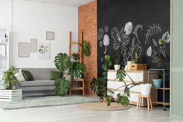 Stylish interior of living room with tropical plants and chalk drawing on black wall