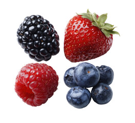 Four assorted fresh berries arranged in a grid pattern