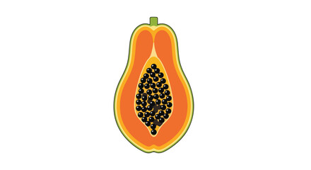Vibrant vector illustration displaying the inner textures and seed arrangement of a ripe papaya fruit in vivid details