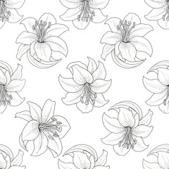 Hand Drawn Black and White Lily Flower Seamless Pattern Illustration.