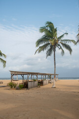 San Pedro beach with wooden hut and palm tree facing the ocean