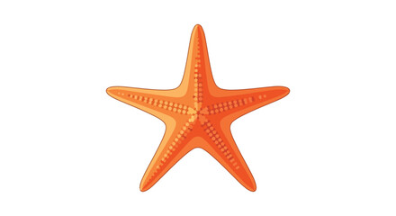 Bright orange starfish with textured surface and five arms, isolated on a plain white background showing detailed pattern and vibrant coloration