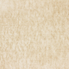 Old Paper texture. vintage paper background or texture; brown paper texture