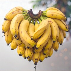 Bunch of ripe bananas, heart shape, hanging