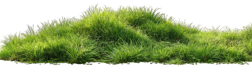 Lush green grass field (13)