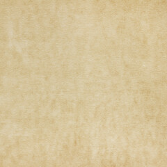 Old Paper texture. vintage paper background or texture; brown paper texture