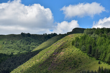 Obraz premium Rolling Green Hills Under a Cloudy Sky