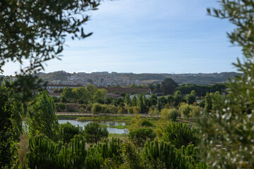 Obraz premium Scenic view of Parque Verde in Carnide, Lisbon, with trees, lake, and hills in the background on a clear day.