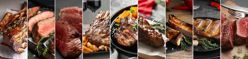 Tasty cooked meat dishes, collage of pictures. Banner design