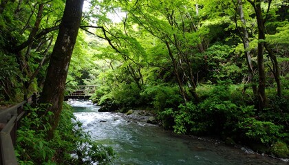 Lush, verdant forest stream. Wooden bridge spans the swift current. Sunlight filters through dense foliage