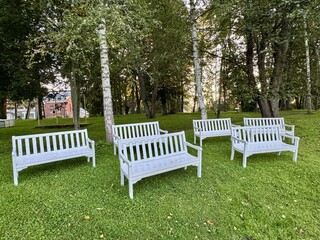 Several white benches placed on grass in shady park among tall trees