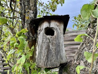 Rustic birdhouse attached to a tree trunk with branches and fresh green foliage