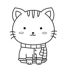 Cute cat with black and white stripes wearing warm chirstmas scarf looks adorable and cozy