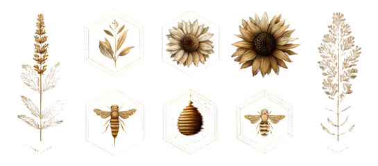 Detailed Vintage Floral and Bee Illustrations with Hexagon Patterns and Gold Accents