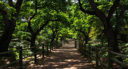 Shady path through a lush green garden with wooden fence