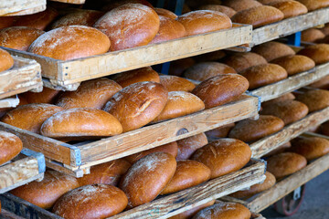Freshly baked artisan bread on wooden shelves at a local bakery in the morning light