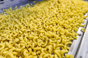 Pasta production process showing elbow macaroni being processed in a manufacturing facility