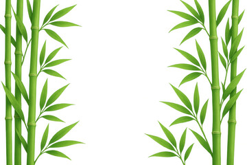 Fototapeta premium Green bamboo stalks and leaves creating a natural frame on a transparent background, ideal for adding an organic touch to designs